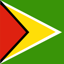 Guyana Flag