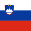 Slovenia Flag